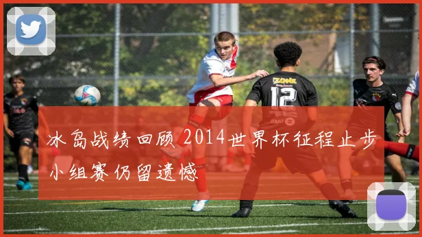 冰岛战绩回顾 2014世界杯征程止步小组赛仍留遗憾